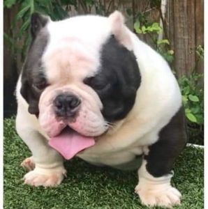 Meet your Posher, Jose